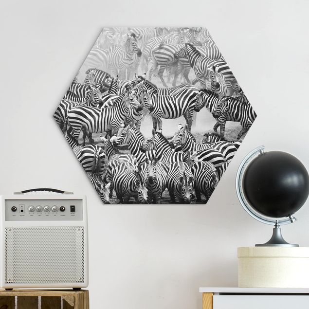 Wandbilder Zebras Zebraherde II