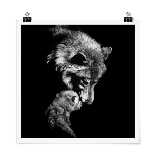 Tiere Poster Wolf vor Schwarz