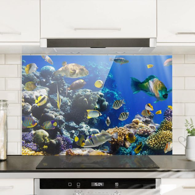 Küche Dekoration Underwater Reef