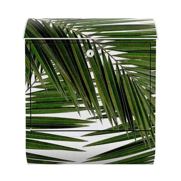 Briefkästen Landschaften Blick durch grüne Palmenblätter
