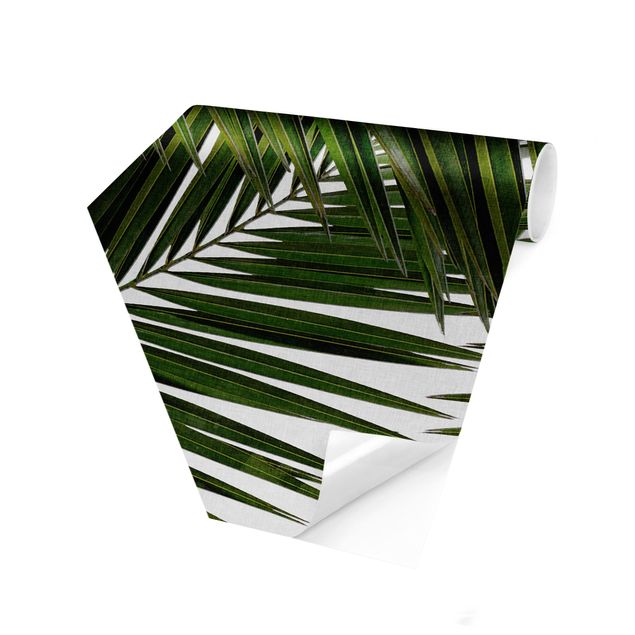 Fototapete kaufen Blick durch grüne Palmenblätter