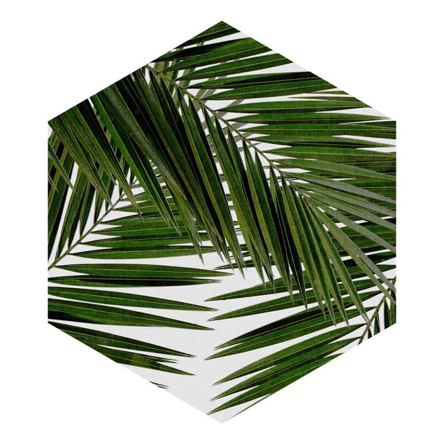 Hexagon Mustertapete selbstklebend - Blick durch grüne Palmenblätter