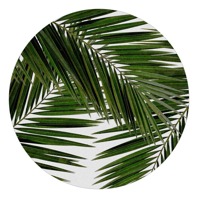 Tapete Pflanzen Blick durch grüne Palmenblätter