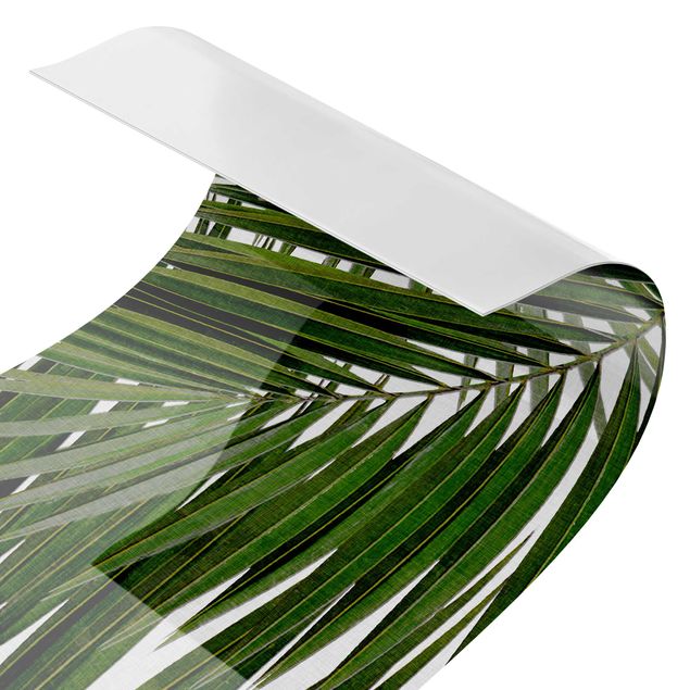 Küchenrückwand - Blick durch grüne Palmenblätter