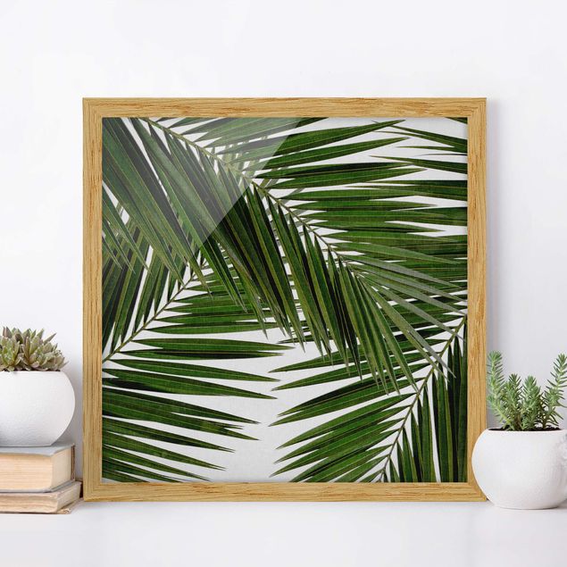 Wanddeko Küche Blick durch grüne Palmenblätter