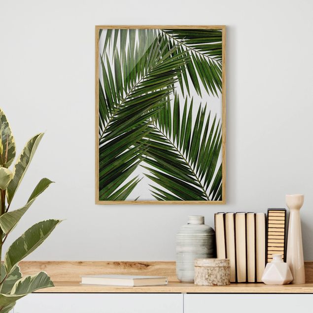 Wandbilder Landschaften Blick durch grüne Palmenblätter