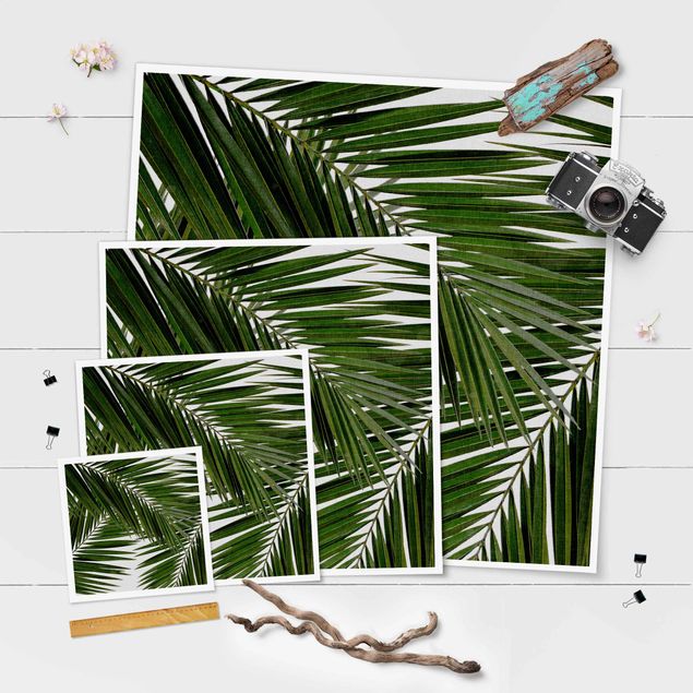 Poster Blick durch grüne Palmenblätter