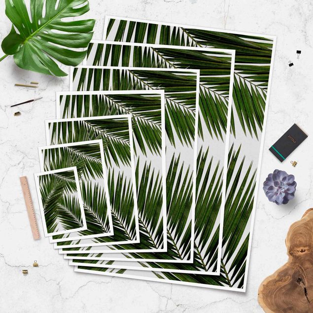 Poster bestellen Blick durch grüne Palmenblätter