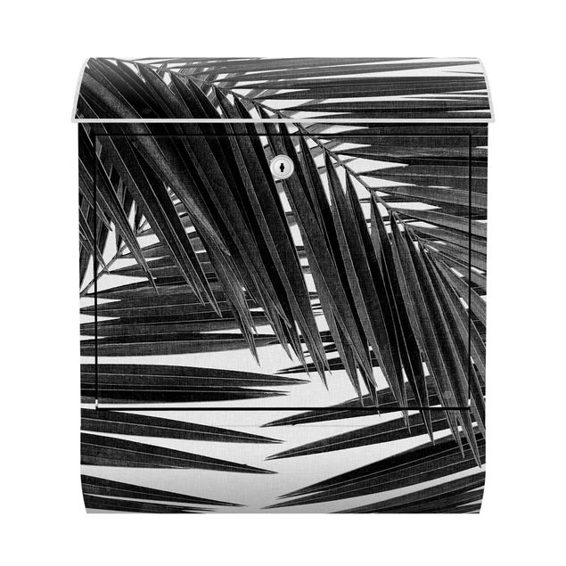 Briefkasten schwarz-weiß Blick durch Palmenblätter schwarz weiß