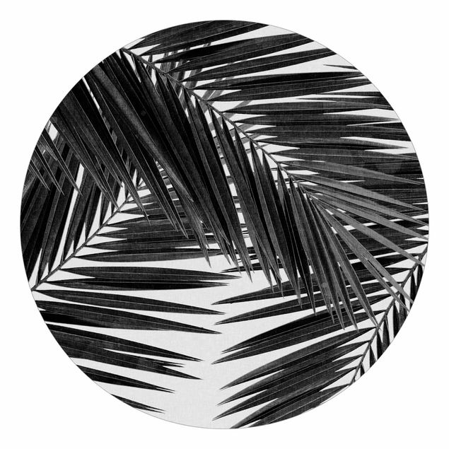 Tapete Schwarz-Weiß Blick durch Palmenblätter schwarz weiß