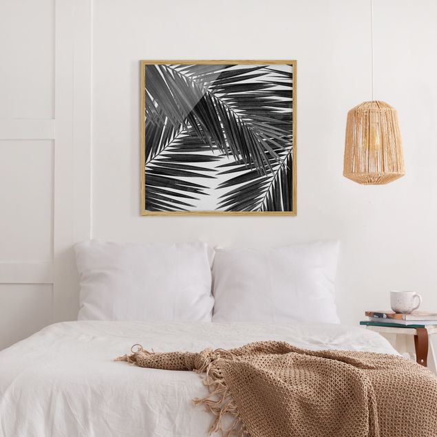 schwarz-weiß Bilder mit Rahmen Blick durch Palmenblätter schwarz weiß