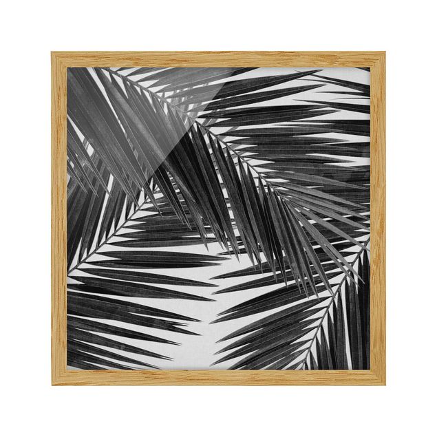 gerahmte Blumenbilder Blick durch Palmenblätter schwarz weiß