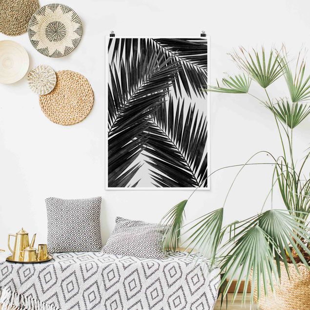 Wandbilder Landschaften Blick durch Palmenblätter schwarz weiß