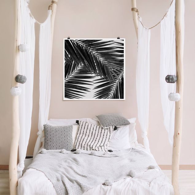 schwarz-weiß Poster Blick durch Palmenblätter schwarz weiß