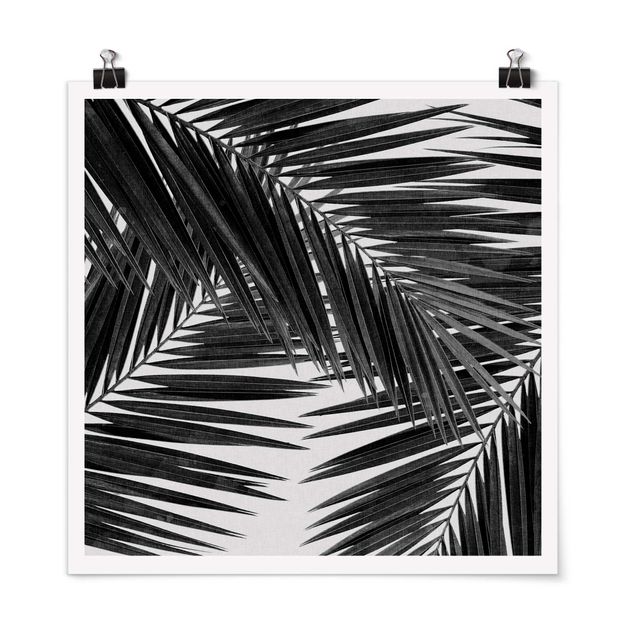 Poster Kunstdruck Blick durch Palmenblätter schwarz weiß