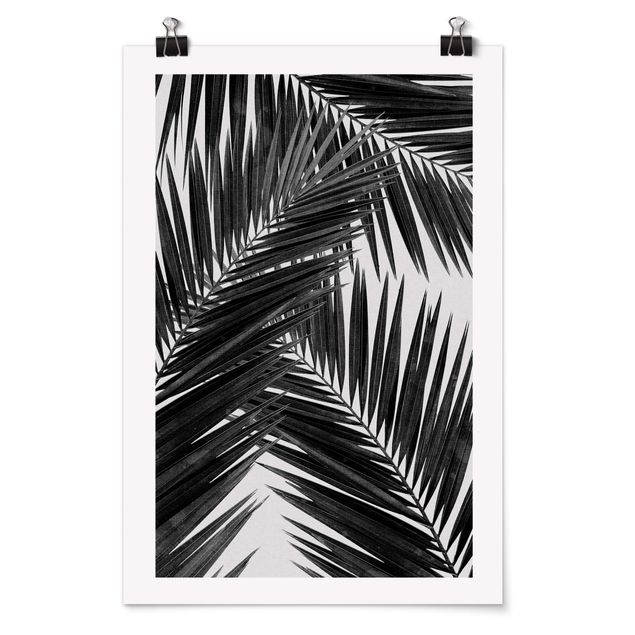 Kunstdrucke Poster Blick durch Palmenblätter schwarz weiß