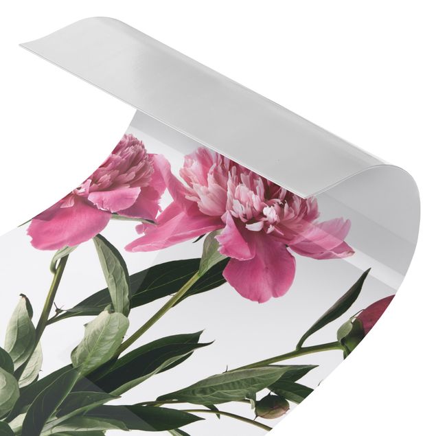 Duschrückwand - Blüten und Knospen Pink auf Weiß