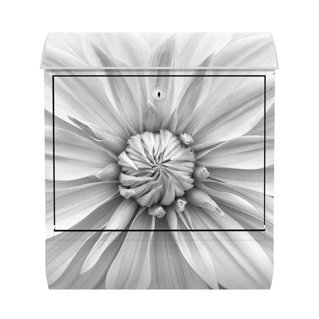 Briefkästen Schwarz-Weiß Botanische Blüte in Weiß