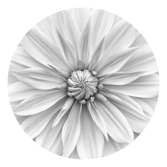Schwarz-Weiß Tapete Botanische Blüte in Weiß