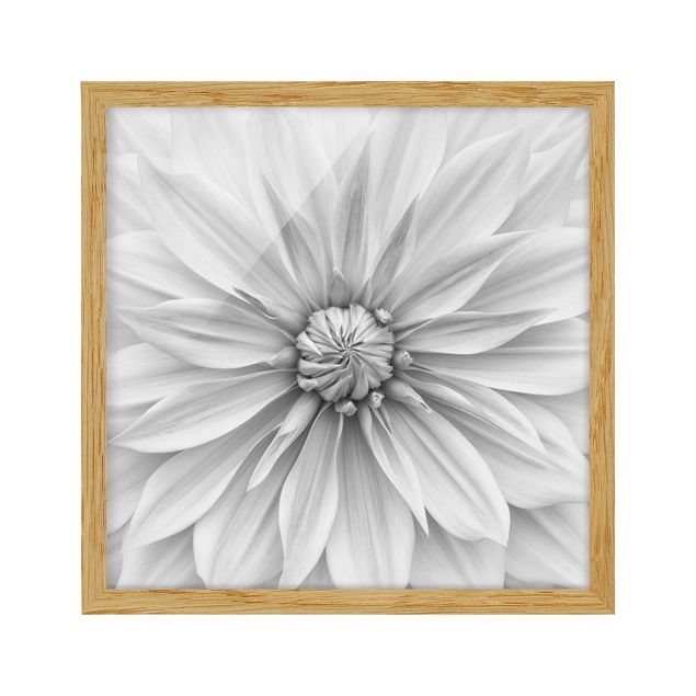 Wandbilder Floral Botanische Blüte in Weiß