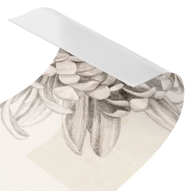 Küchenrückwand selbstklebend Botanische Studie Chrysantheme I