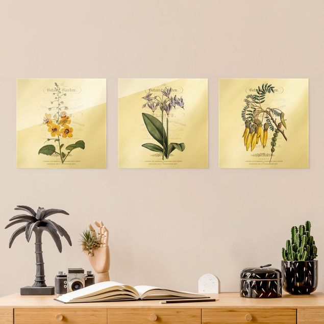 Glasbilder Blumen Botanisches Tableau Set I