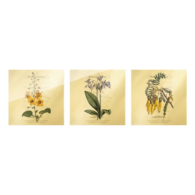 Bilder Botanisches Tableau Set I