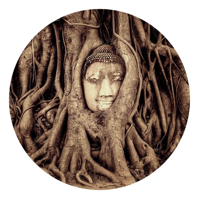 moderne Fototapete Buddha in Ayutthaya von Baumwurzeln gesäumt in Braun