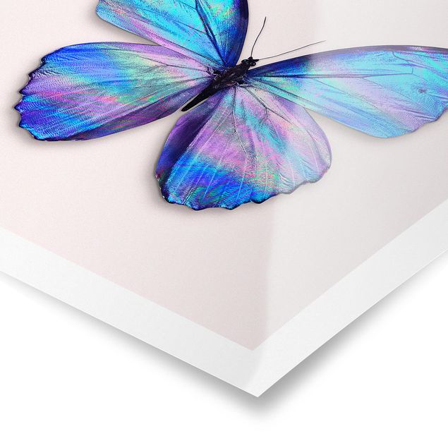 Poster Tiere Holografischer Schmetterling