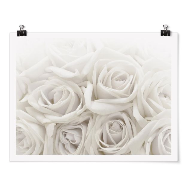 Wandbilder Blumen Weiße Rosen