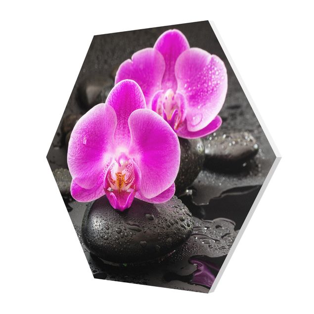 Bilder auf Hartschaumplatte Pinke Orchideenblüten auf Steinen mit Tropfen