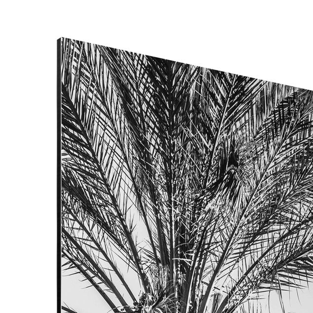Wandbilder Kunstdrucke Palmen im Sonnenuntergang Schwarz-Weiß