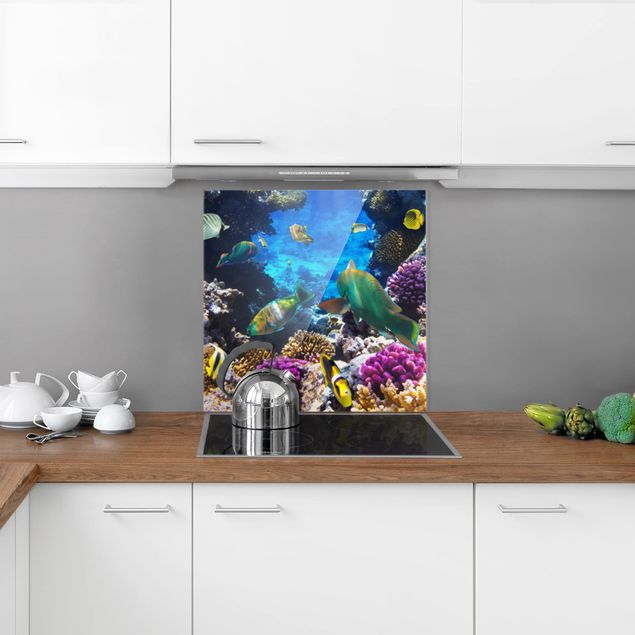 Glasrückwand Küche Underwater Dreams