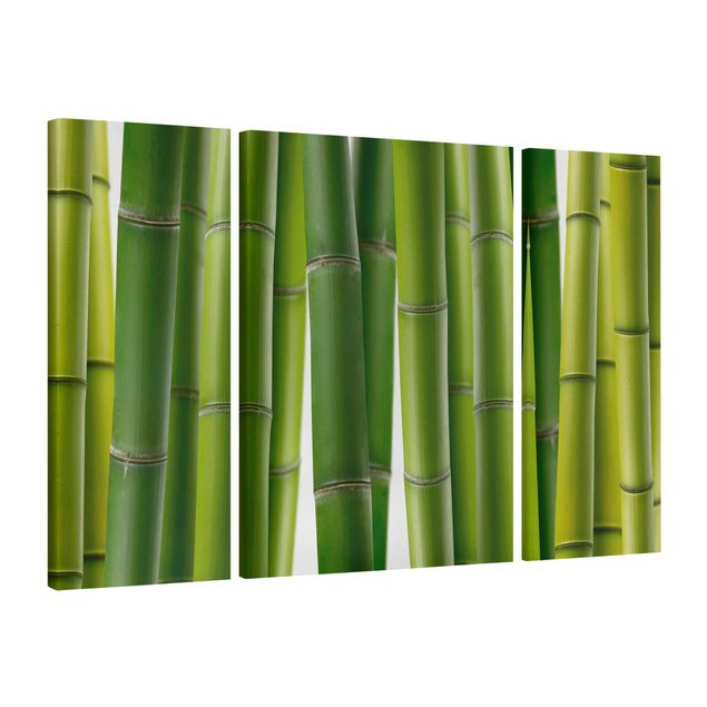 Wandbilder Bambus Bambuspflanzen