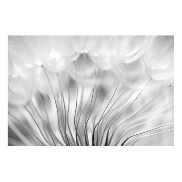Magnettafel - Traumhafte Pusteblume Schwarz-Weiß - Hochformat 3:2