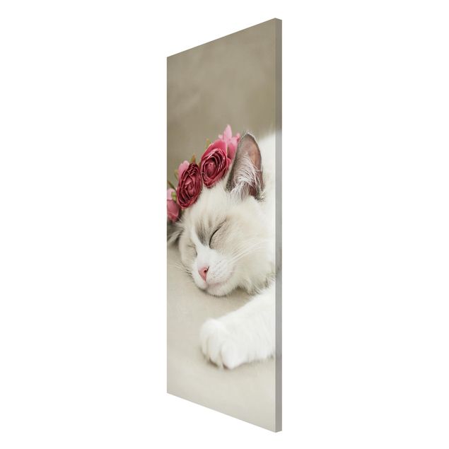 Magnettafel - Schlafende Katze mit Rosen - Panorama Hochformat