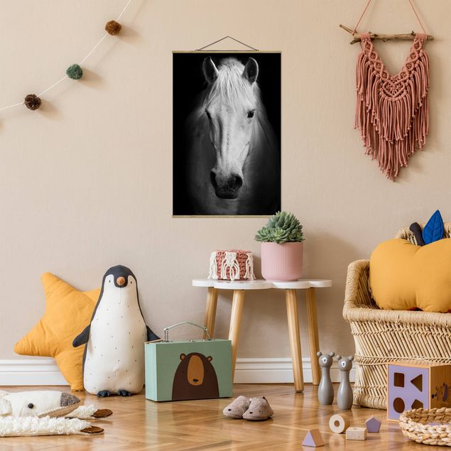 Wandbilder Modern Dream of a Horse