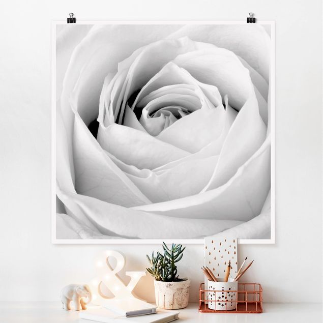 schwarz-weiß Poster Close Up Rose