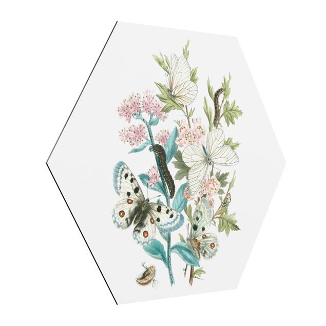 Wandbilder Blumen Britische Schmetterlinge I