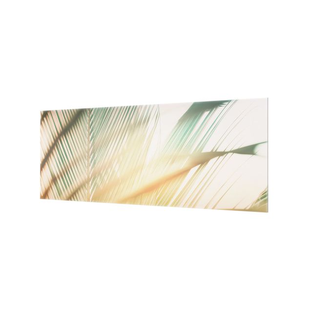 Spritzschutz Glas - Tropische Pflanzen Palmen bei Sonnenuntergang II - Panorama - 5:2