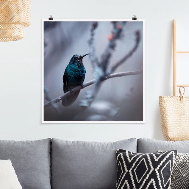 Poster Tiere Kolibri im Winter