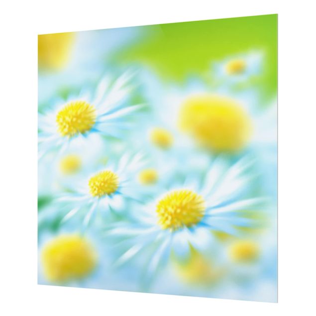 Glas Spritzschutz - Dahlien Blumenmeer weiß - Quadrat - 1:1