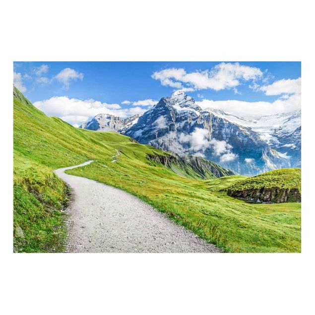 Wandbilder Schweiz Grindelwald Panorama