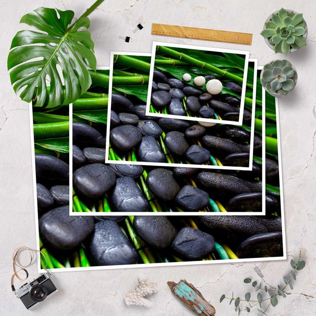 Bilder Grüner Bambus mit Zen Steinen