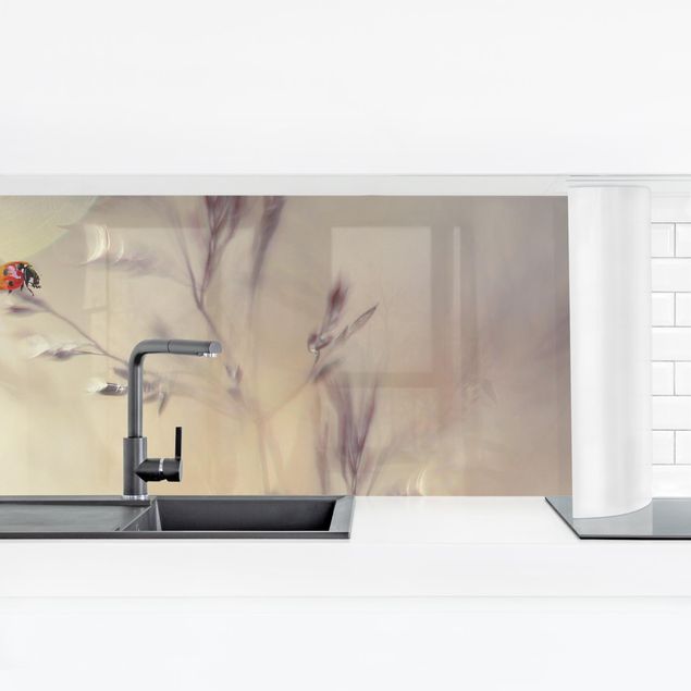 Küchenrückwand Folie selbstklebend Marienkäfer auf Wiesengras