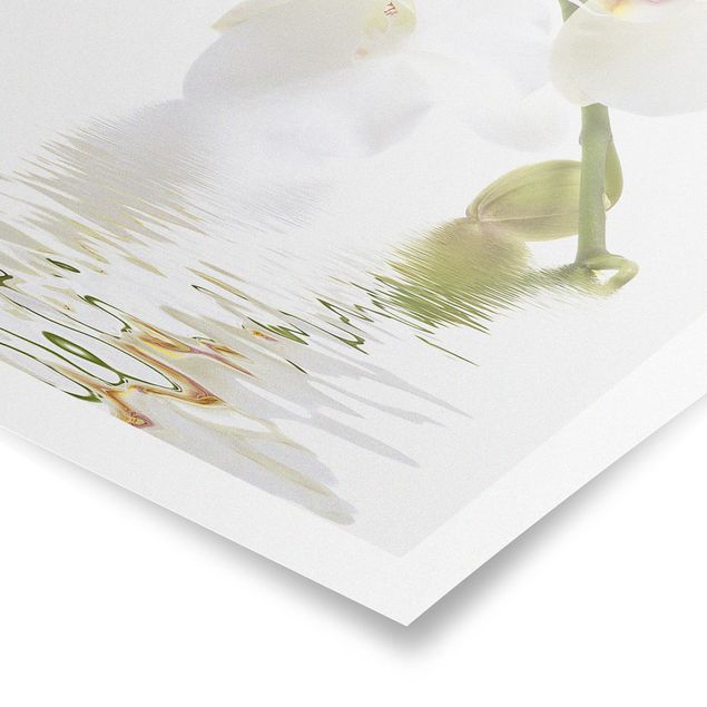 Wandbilder Blumen White Orchid Waters