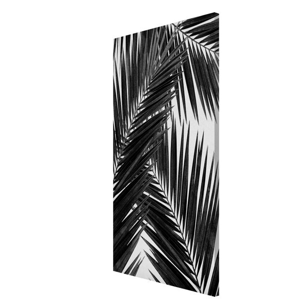 Magnettafel Blume Blick durch Palmenblätter schwarz weiß