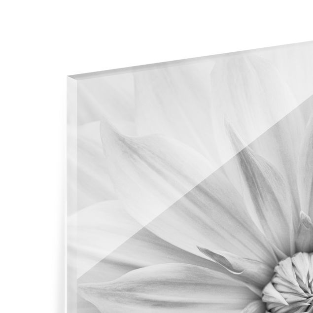 Spritzschutz Glas - Botanische Blüte in Weiß - Quadrat 1:1
