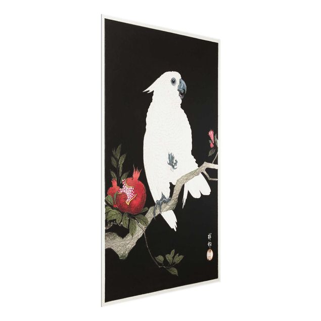 Glasbilder Tiere Asiatische Vintage Illustration Weißer Kakadu