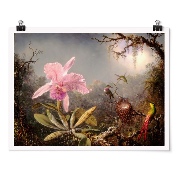 Poster Kunstdruck Martin Johnson Heade - Orchidee und drei Kolibris